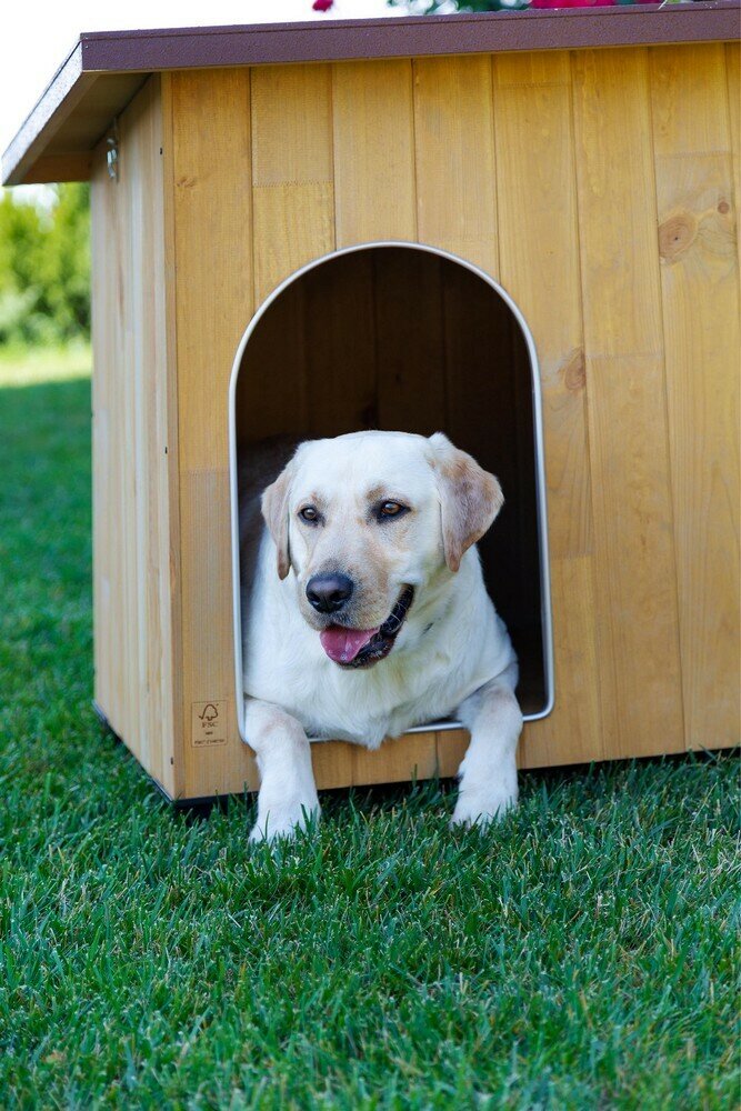 Будка деревянная BAITA 120 для собак - фотография № 5