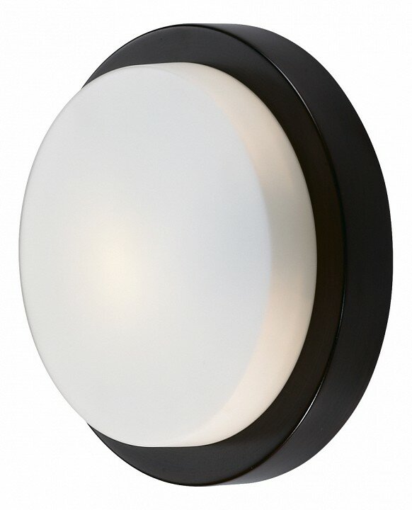 Odeon Light Накладной светильник Odeon Light Holger 2744/1C - фотография № 1