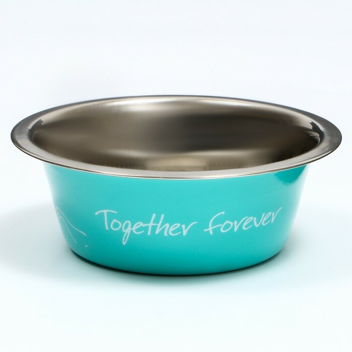 Миска стандартная "Together forever", 350 мл, мятная 5505023 - фотография № 2