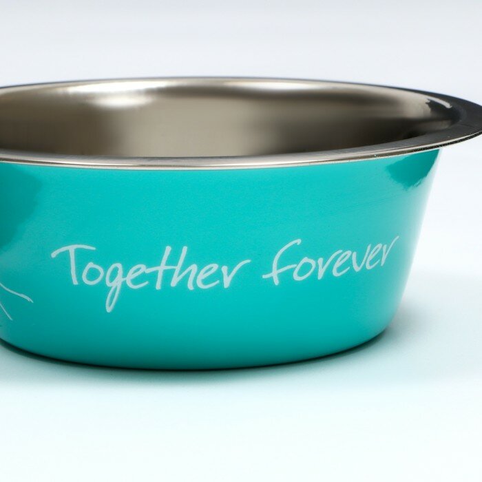 Миска стандартная "Together forever", 350 мл, мятная 5505023 - фотография № 5