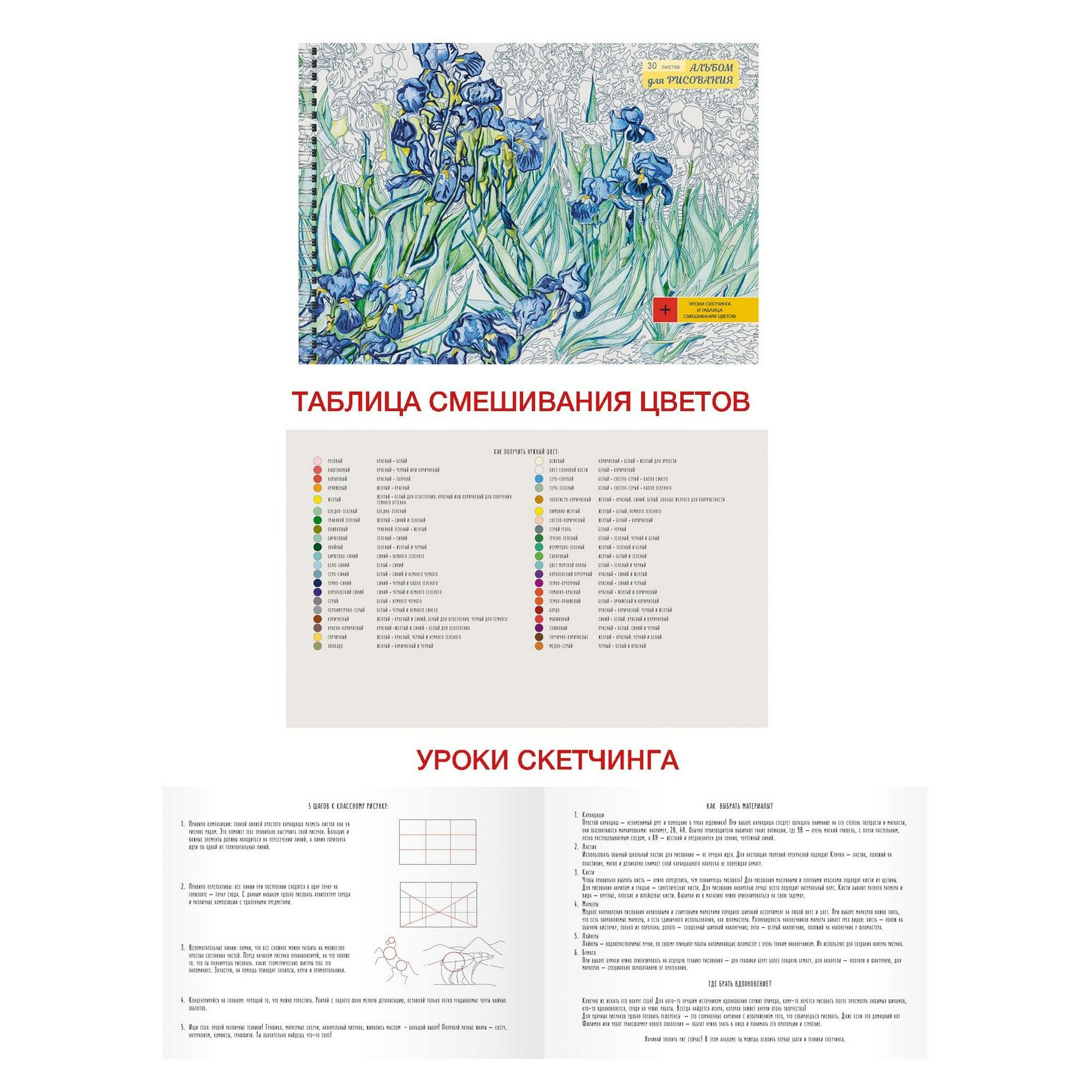 Альбом для рисования 30 листов, гребень, Ирисы (АС302237) Канц-Эксмо - фото №1