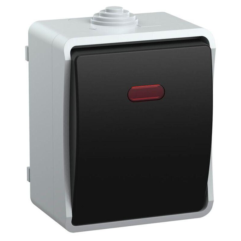 Одноклавишный выключатель форс, для открытой установки, ОП, 10А, серый, IP54, IEK EVS11-K03-10-54-DC (10 шт.)