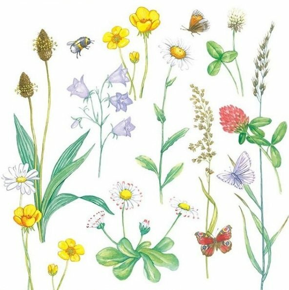 фото PAW Салфетки столовые 33х33см 20шт Просто весна