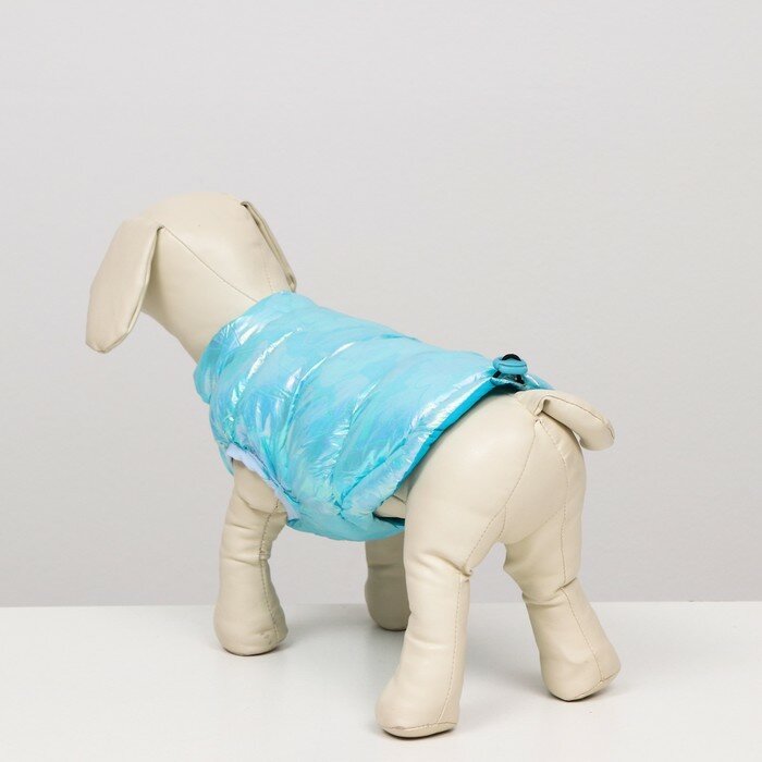 Куртка для собак двухсторонняя с утяжкой,размер 12 (ДС 28 см,ОГ 38 см,ОШ 27 см), голубая - фотография № 3