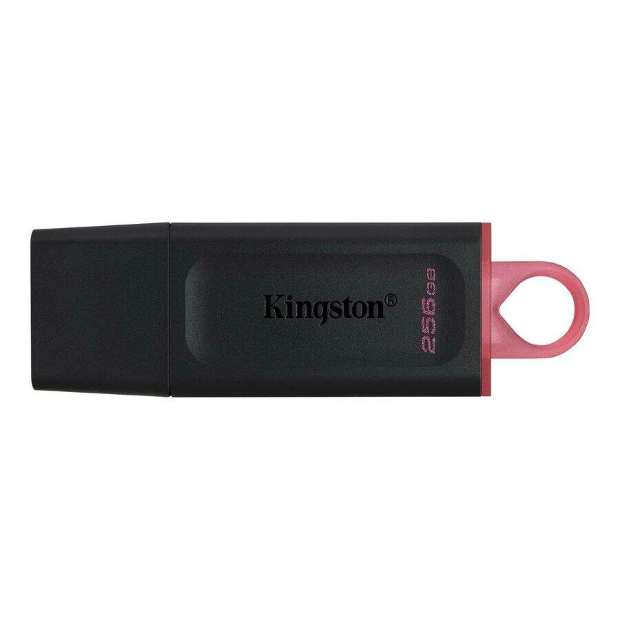 USB-флеш накопитель Kingston 256Gb DataTraveler Exodia 3.2 DTX/256GB, 1шт.