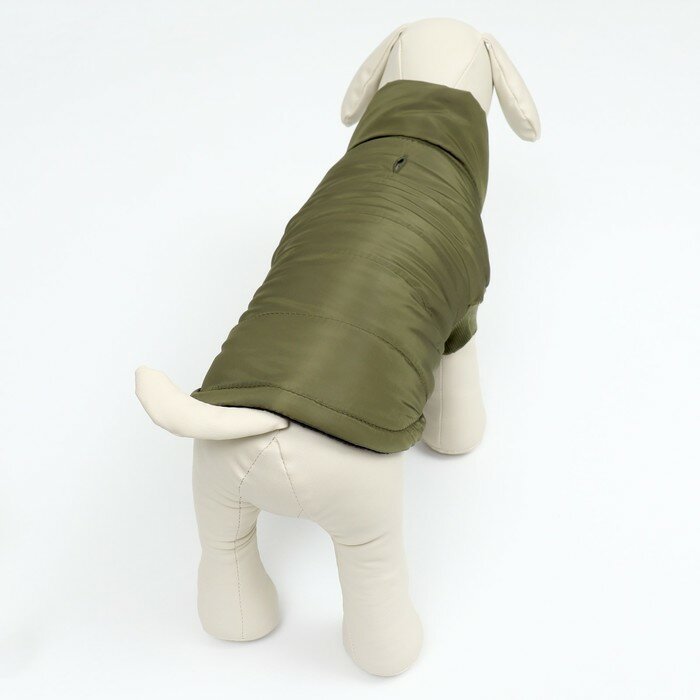 Куртка для собак "Прятки", размер M (ДС 30, ОГ 40, ОШ 30 см), зелёная - фотография № 3