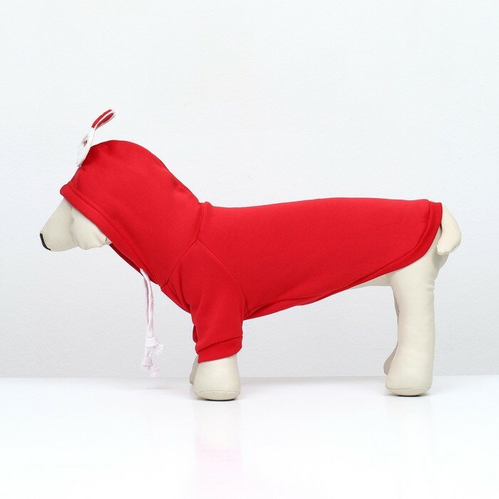 Костюм для животных "Дед Мороз", размер L, красный - фотография № 3