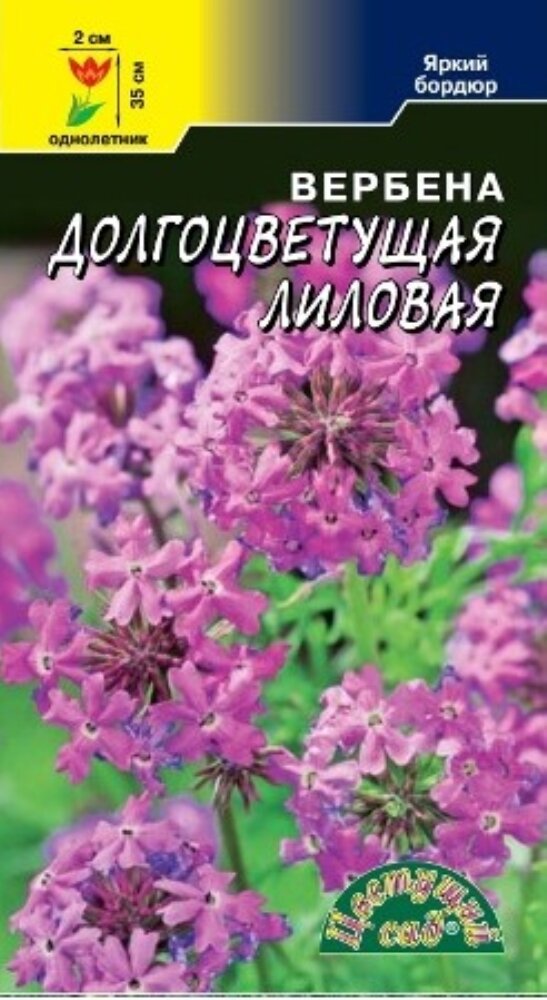 Вербена Долгоцветущая Лиловая 01г Одн 35см (Цвет сад)