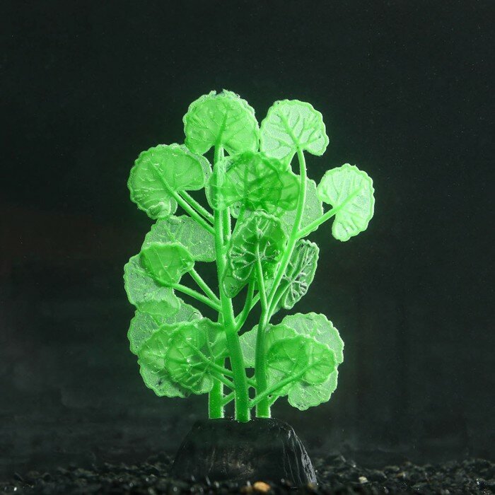 Растение силиконовое аквариумное, светящееся в темноте, 7 х 11 см, зелёное - фотография № 1