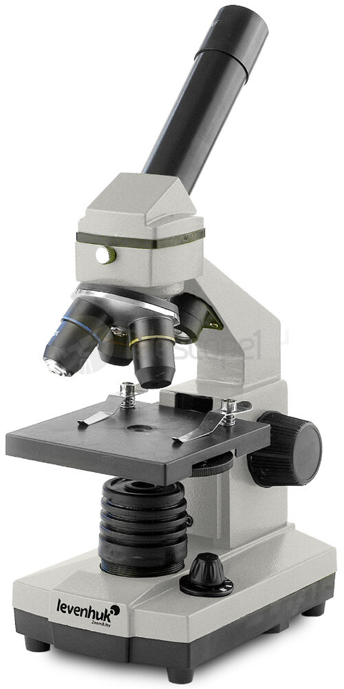 Микроскоп Levenhuk Rainbow 2L Лунный камень