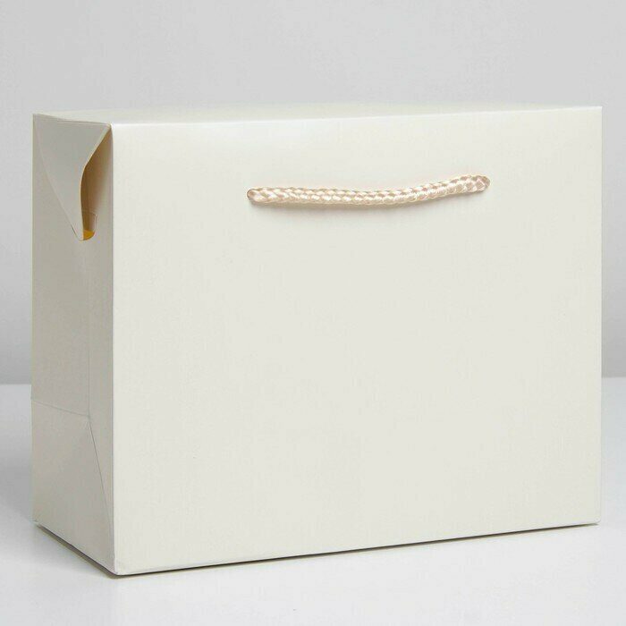 Пакет коробка "Белый", 28 х 20 х 13 см - фотография № 1