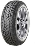 Шина GT Radial Champiro WinterPro 2 205/60 R16 92H - изображение