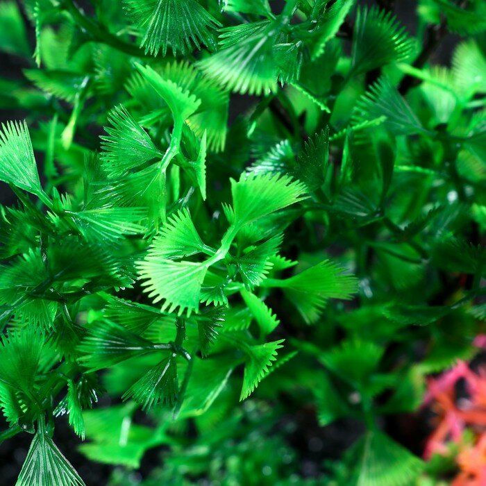 Растение искусственное аквариумное, 25 см, зелёное - фотография № 3