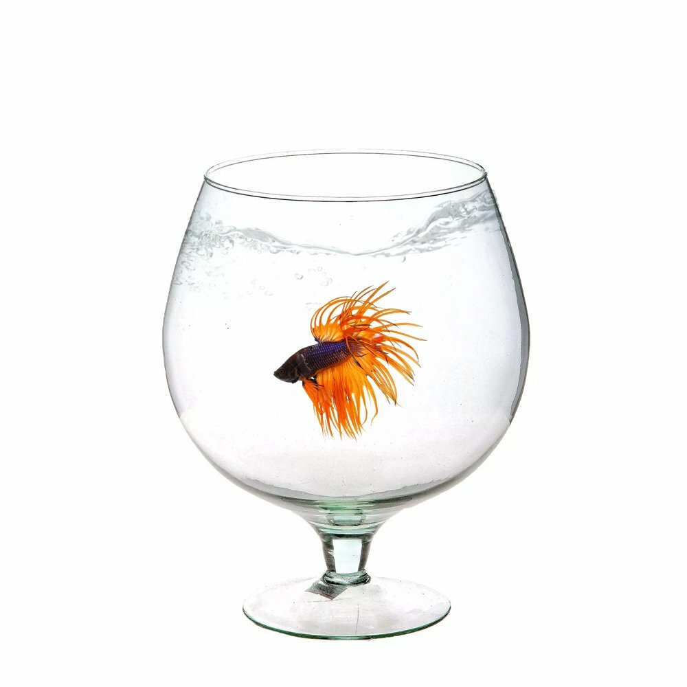 Аквариум Неман 3,5 л. ваза-бокал стекло 18,5 x 24,5см.