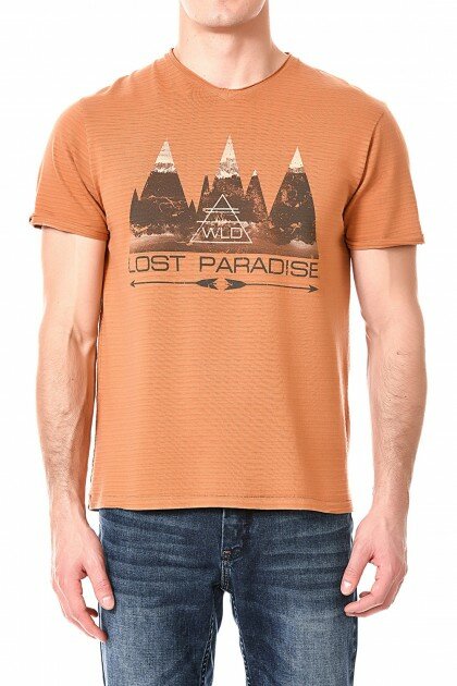 Мужская футболка WESTLAND W3948 BRONZE оранжевая