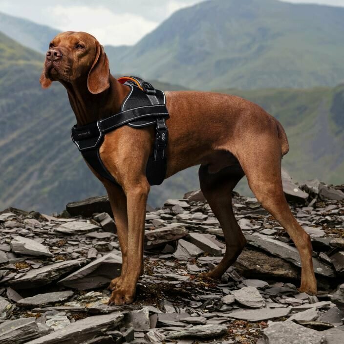 Шлейка для собаки Land Rover Above And Beyond Adjustable Dog Harness - фотография № 7