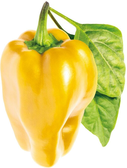 Набор картриджей для умного сада Click and Grow Refill 3-Pack Жёлтый сладкий перец (Yellow Sweet Pepper) - фотография № 2