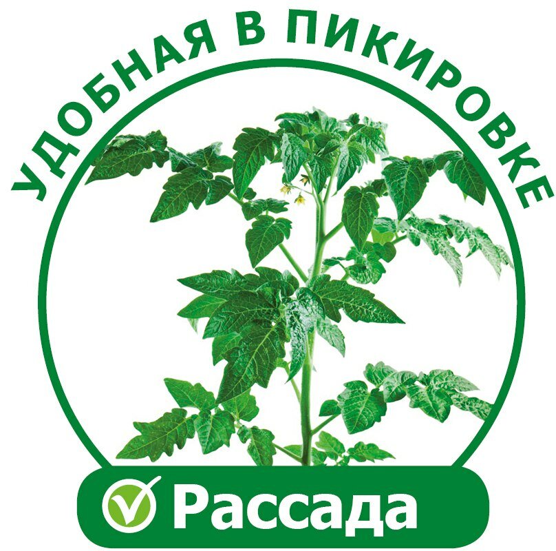 Чудо грядка двойная Zdorovya Klad/X2 original проращиватель семян зерен и семечек - фотография № 11