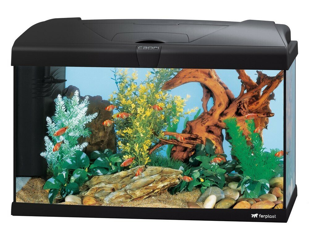 Стеклянный аквариум CAPRI 60 LED, со светодиодной лампой, внутренним фильтром и нагревателем черный, 60 л - фотография № 1