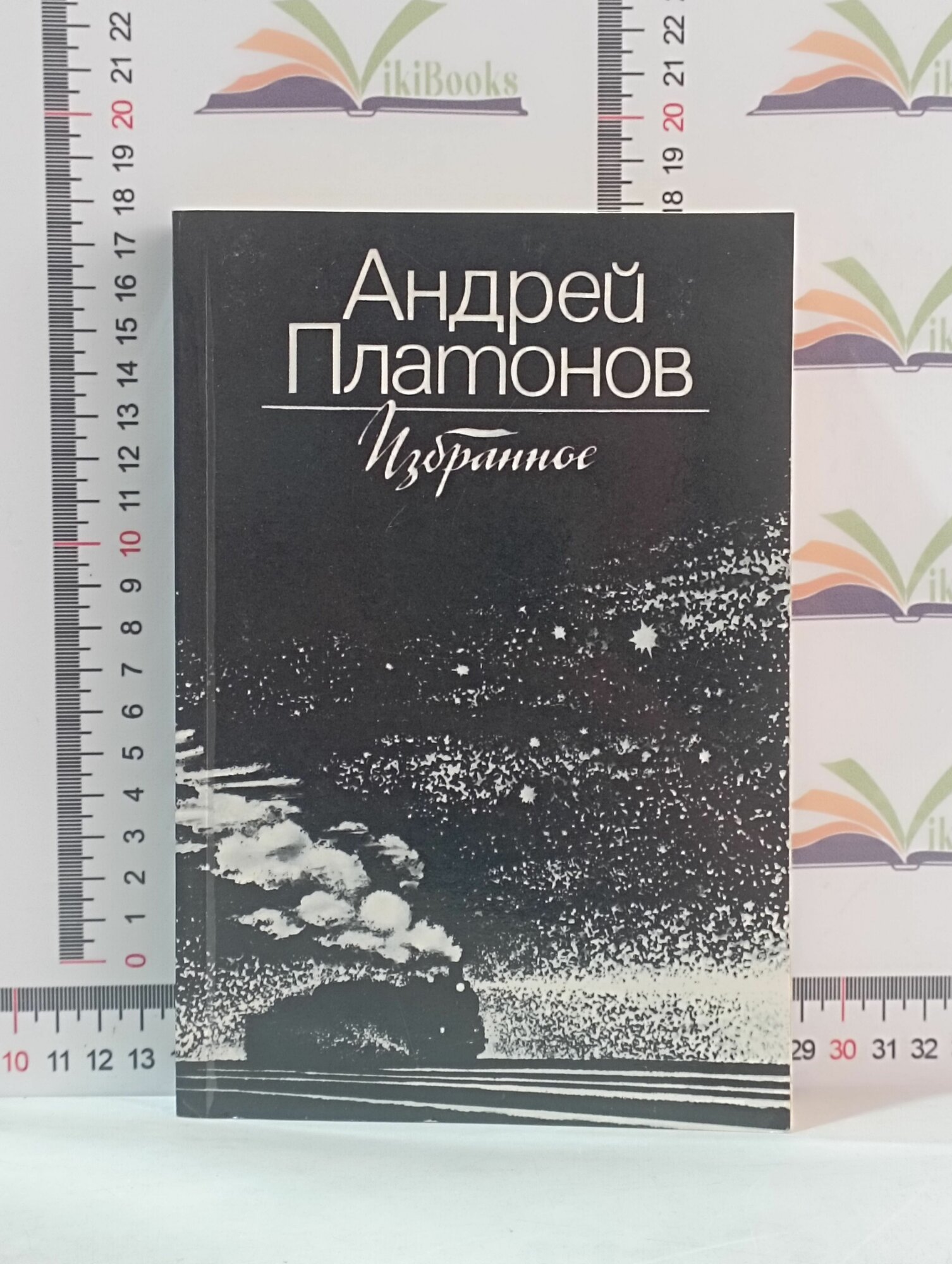 Андрей Платонов / Избранное / Повести и рассказы