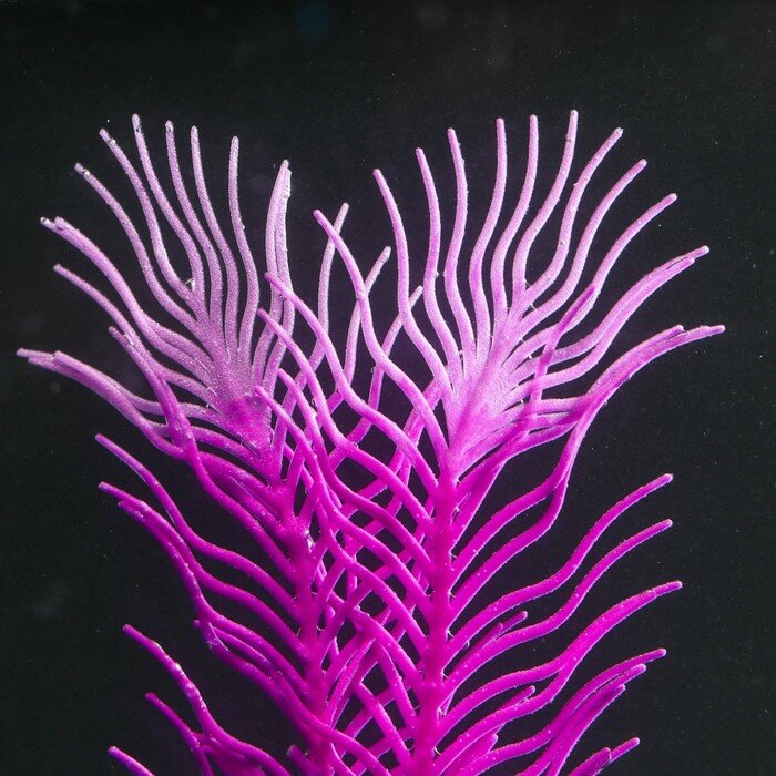Растение силиконовое аквариумное, светящееся в темноте, 6,5 х 18 см, фиолетовое - фотография № 2