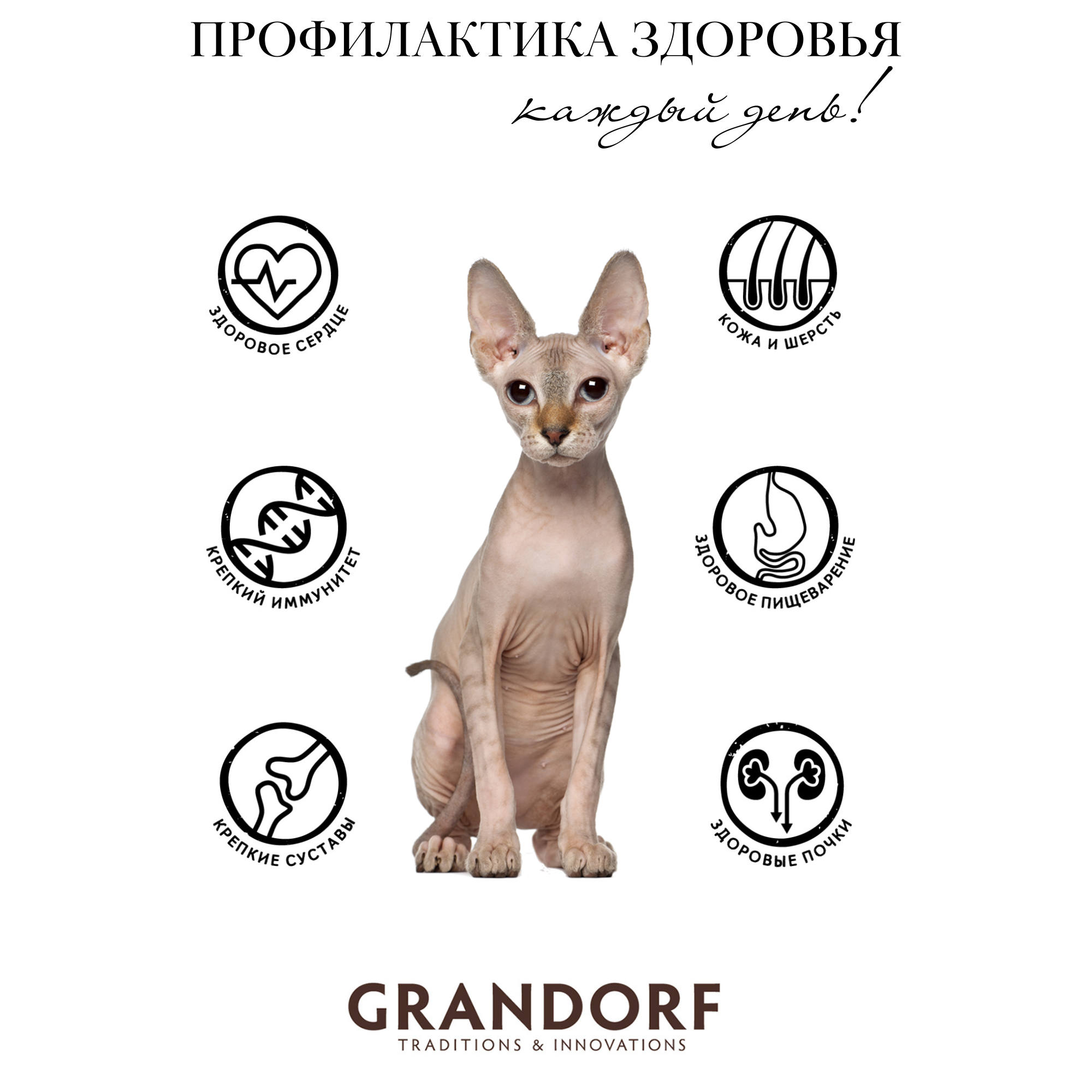 Grandorf низкозерновой корм для стерилизованных кошек с индейкой - фотография № 5