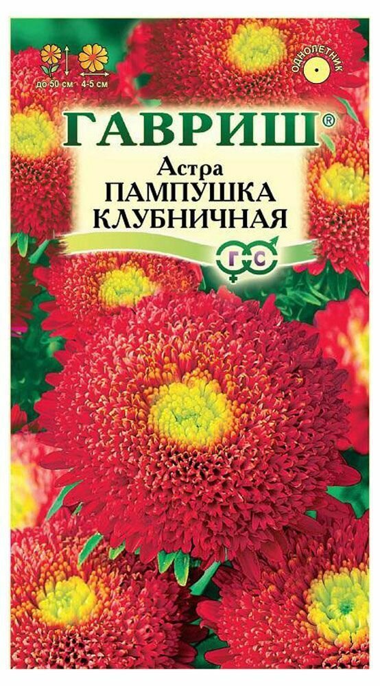 Семена Астра Пампушка клубничная помпонная однолетняя 03 г