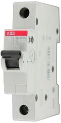 Автоматический выключатель Abb SH200L 1P 25А (C) 4.5кА, 2CDS241001R0254