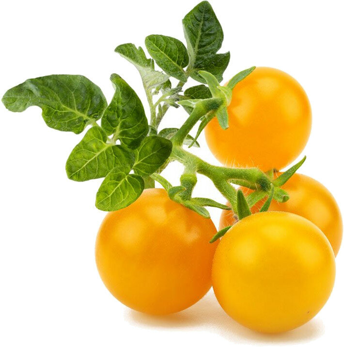 Набор картриджей для умного сада Click and Grow Refill 3-Pack Жёлтые Томаты Черри (Yellow Mini Tomato) - фотография № 2