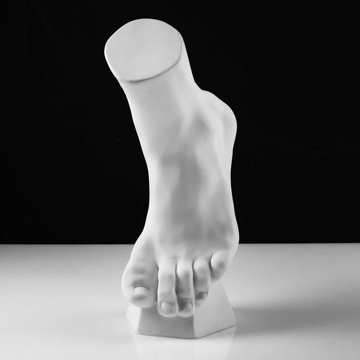Гипсовая фигура анатомическая: стопа вертикальная, 14 х 23,5 х 38 см - фотография № 3