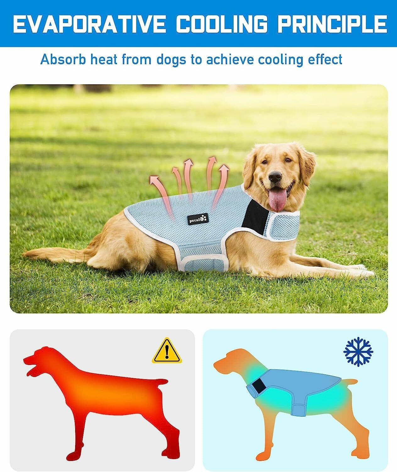 Охлаждающий жилет для собак Pecute защита от солнца XL 51 см голубой - фотография № 6