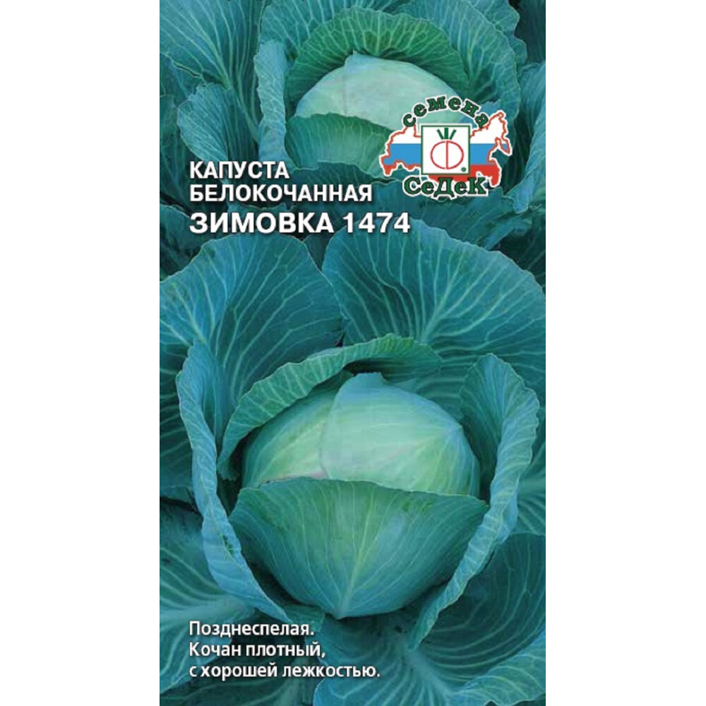 СеДек капуста Зимовка 1474 00000015313