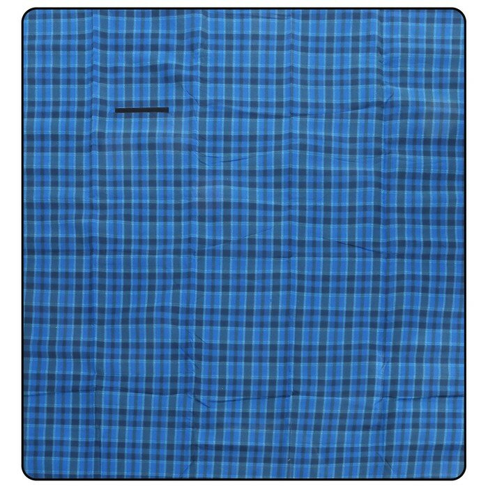 фото Плед для пикника, цвет синий