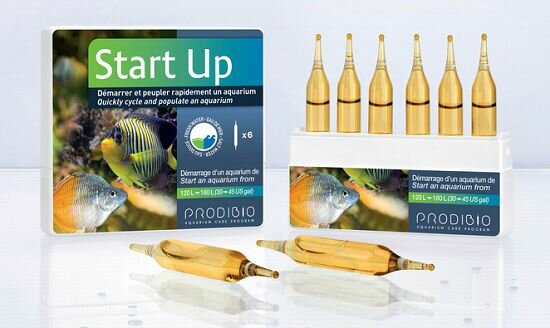 PRODIBIO Start Up ( Bio Digest+Stop Ammo)     , 6 .