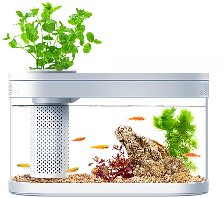 Умный Аквариум Descriptive Geometry C180 Smart Fish Tank PRO Standart Set