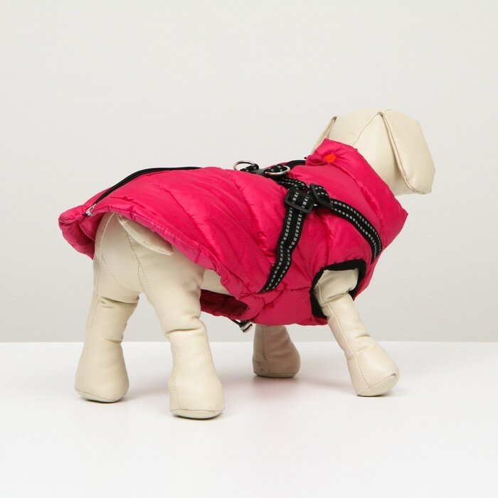 Куртка для собак со шлейкой, размер 22 (ДС 41 см, ОГ 60 см, ОШ 43 см), розовая - фотография № 3