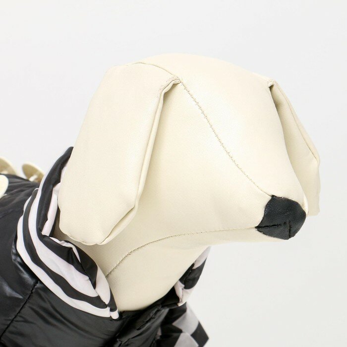 Курточка для собак с воланами,размер 6 (ДС 43,ОШ 44, ОГ 60 см), чёрная - фотография № 5