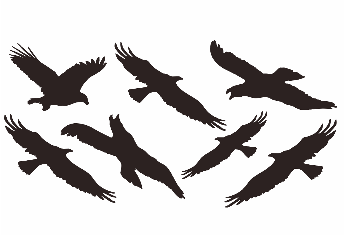 Наклейки-стикеры: силуэты хищных птиц (42 x 30) - V7