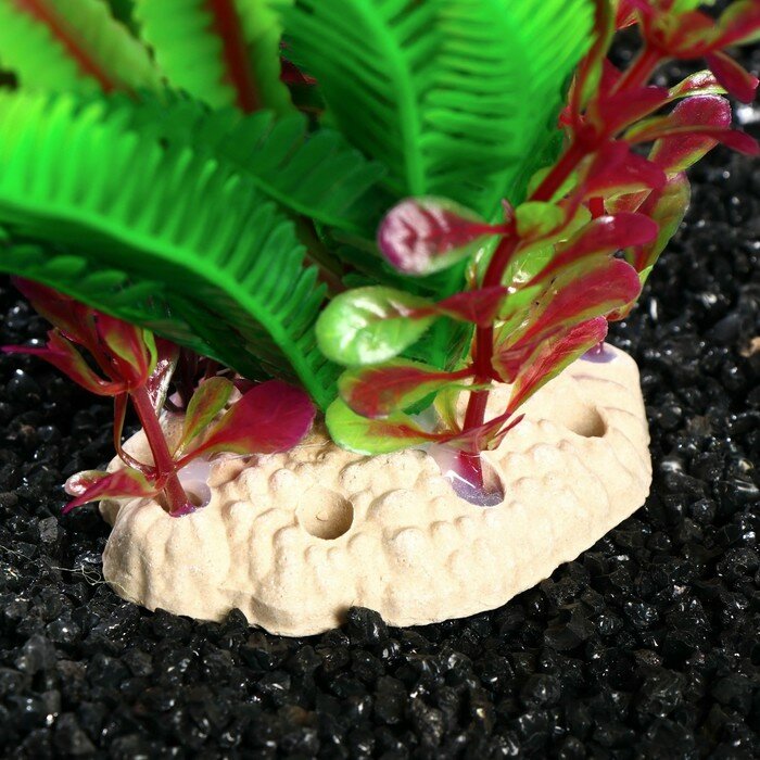 Пижон Аква Растение искусственное аквариумное, 22 х 20 х 25 см - фотография № 2