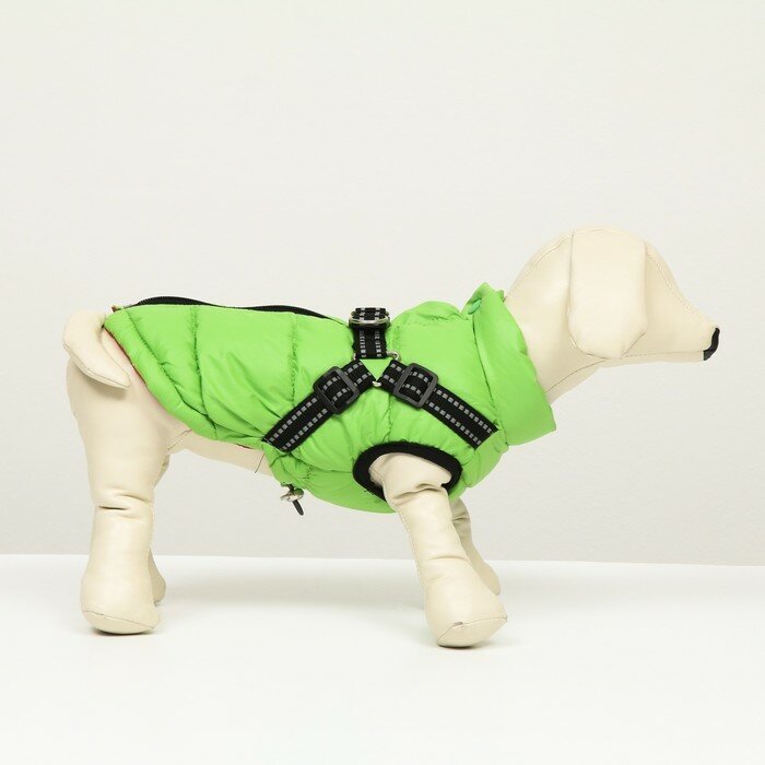 Куртка для собак со шлейкой, размер 18 (ДС 40 см, ОГ 50 см, ОШ 38 см), салатовая - фотография № 2