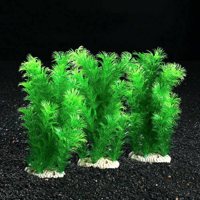 Пижон Аква Растение искусственное аквариумное - фотография № 3