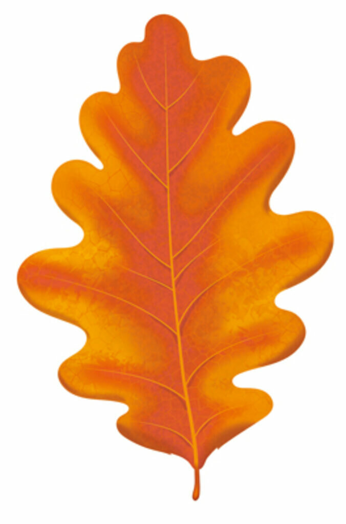 фото Вырубная фигурка 6*6см "Листочек дубовый" оранжевый УФ -лак