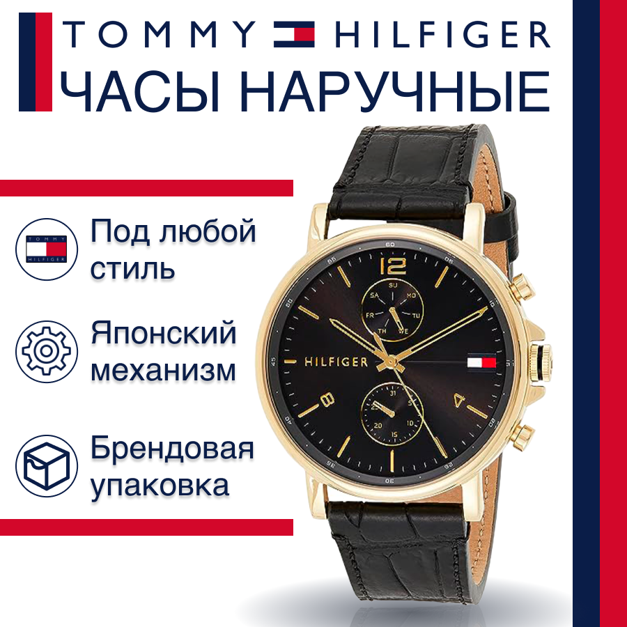Наручные часы Tommy Hilfiger Daniel 1710417