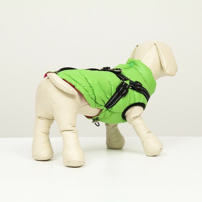 Куртка для собак со шлейкой, размер 14 (ДС 32 см, ОГ 42 см, ОШ 31 см), салатовая - фотография № 3