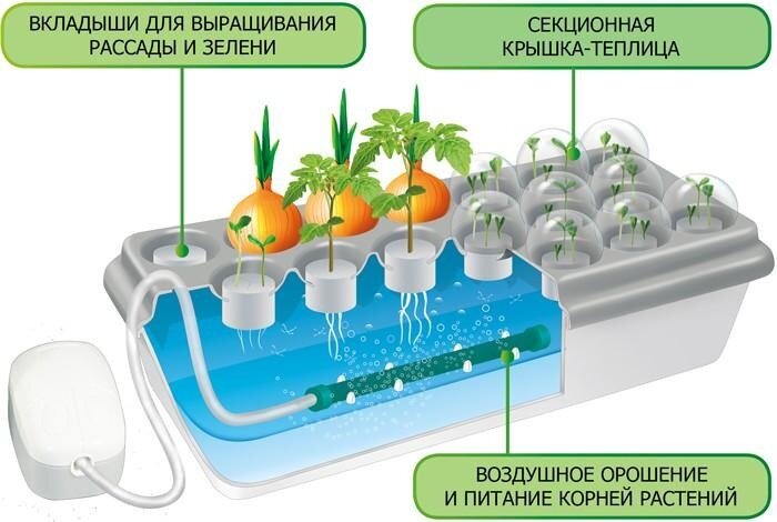 Домашняя установка Чудо грядка Здоровья клад - фотография № 2