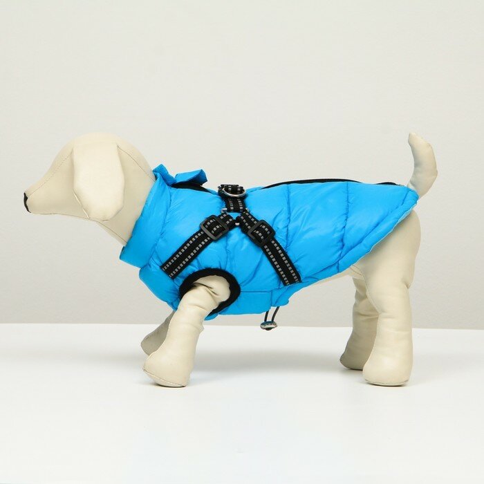 Куртка для собак со шлейкой, размер 24 (ДС 45 см, ОГ 70 см, ОШ 42 см), лазурная - фотография № 4