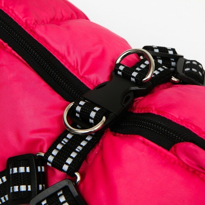 Куртка для собак со шлейкой, размер 20 (ДС 43 см, ОГ 56 см, ОШ 41 см), розовая - фотография № 6