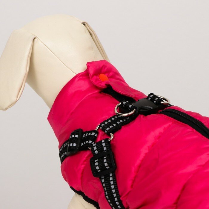Куртка для собак со шлейкой, размер 24 (ДС 45 см, ОГ 70 см, ОШ 42 см), розовая - фотография № 4