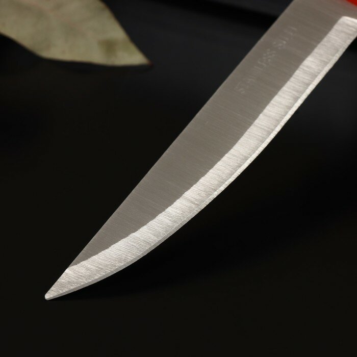 Нож кухонный «Триколор», лезвие 12,5 см - фотография № 2