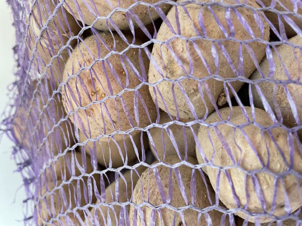 Картофель семенной Брянский Деликатес (сетка 2 кг) - фотография № 1